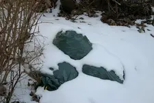 05.webp