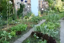 Juni1619.webp