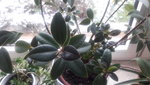 20210109_133052.jpg