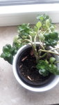 20210109_133106.jpg