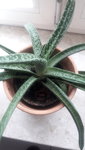 20210109_133239.jpg