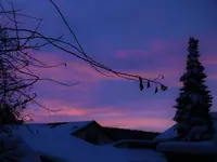 DSCF4545 (3).webp
