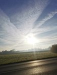 IMG_20201106_090129.jpg