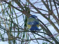 P1020840.webp