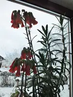 DSCF4547 (2).webp
