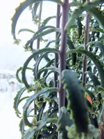 DSCF4548 (2).webp