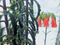 DSCF4546 (2).webp