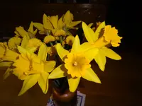 DSC01470.webp