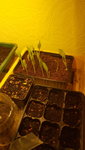 20210124_083349.jpg