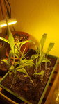 20210124_083332.jpg