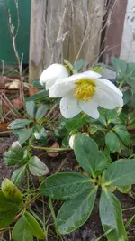 20210123_122020.webp