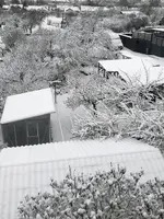 7B49A908-340E-4D3E-B783-849E0B0095A5.jpeg 7B49A908-340E-4D3E-B783-849E0B0095A5.jpeg