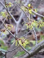 P1020434.webp