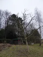 P1020436.webp