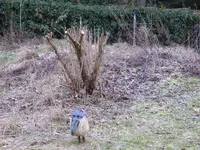 P1020437.webp