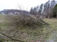 P1020440.webp