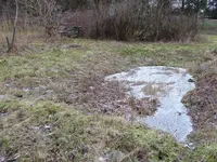 P1020442.webp