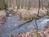 P1020443.webp