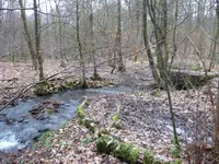 P1020444.webp