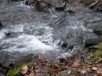 P1020445.webp