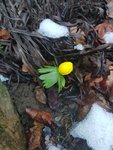20210124_162808.jpg