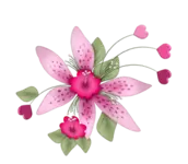24.webp