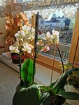 IMG_20210125_144715.jpg