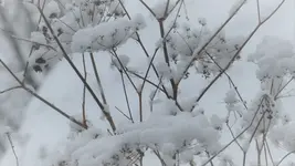P1260528.webp