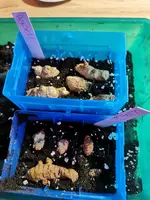 IMG_20210125_225657.jpg IMG_20210125_225657.jpg