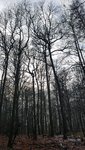 20210102_145012.jpg