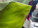 20210128_121910.jpg