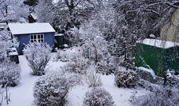 2021wntr07.jpg 2021wntr07.jpg