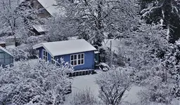 2021wntr08.jpg 2021wntr08.jpg