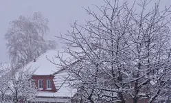 2021wntr09.jpg 2021wntr09.jpg