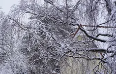 2021wntr10.jpg 2021wntr10.jpg