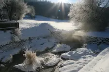 Winter2217.webp