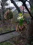 20210129_171951.jpg