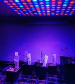 IMG_20210129_223351.webp IMG_20210129_223351.webp