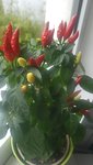 20201101_133356.jpg