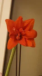 20210129_211925.webp