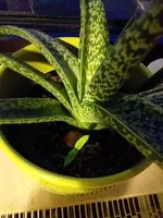 20210130_173954.webp