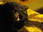 IMGP1058.JPG