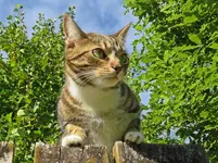 IMG_9830 v  (2).webp