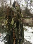 Bananewinter.JPG