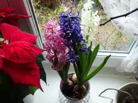 DSC01495.webp