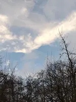20210202_163843.webp