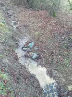20210202_164433.webp