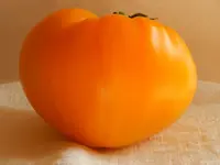 DSCN1602.webp