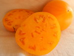 DSCN1607.JPG