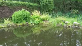 20190606_100623.webp